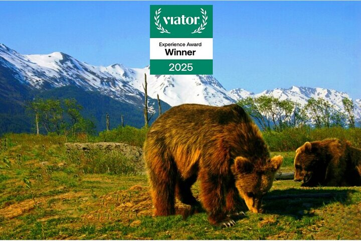 Anchorage Tour of the Year! 